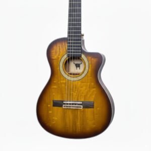 Guitarra acústica Texas TX-130S-39